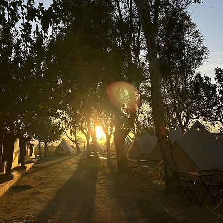 Camping Delta Natura La Tancada Amposta Bagian luar foto
