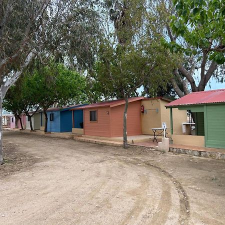 Camping Delta Natura La Tancada Amposta Bagian luar foto