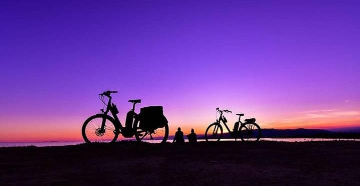 Camping Delta Natura La Tancada Amposta Bagian luar foto