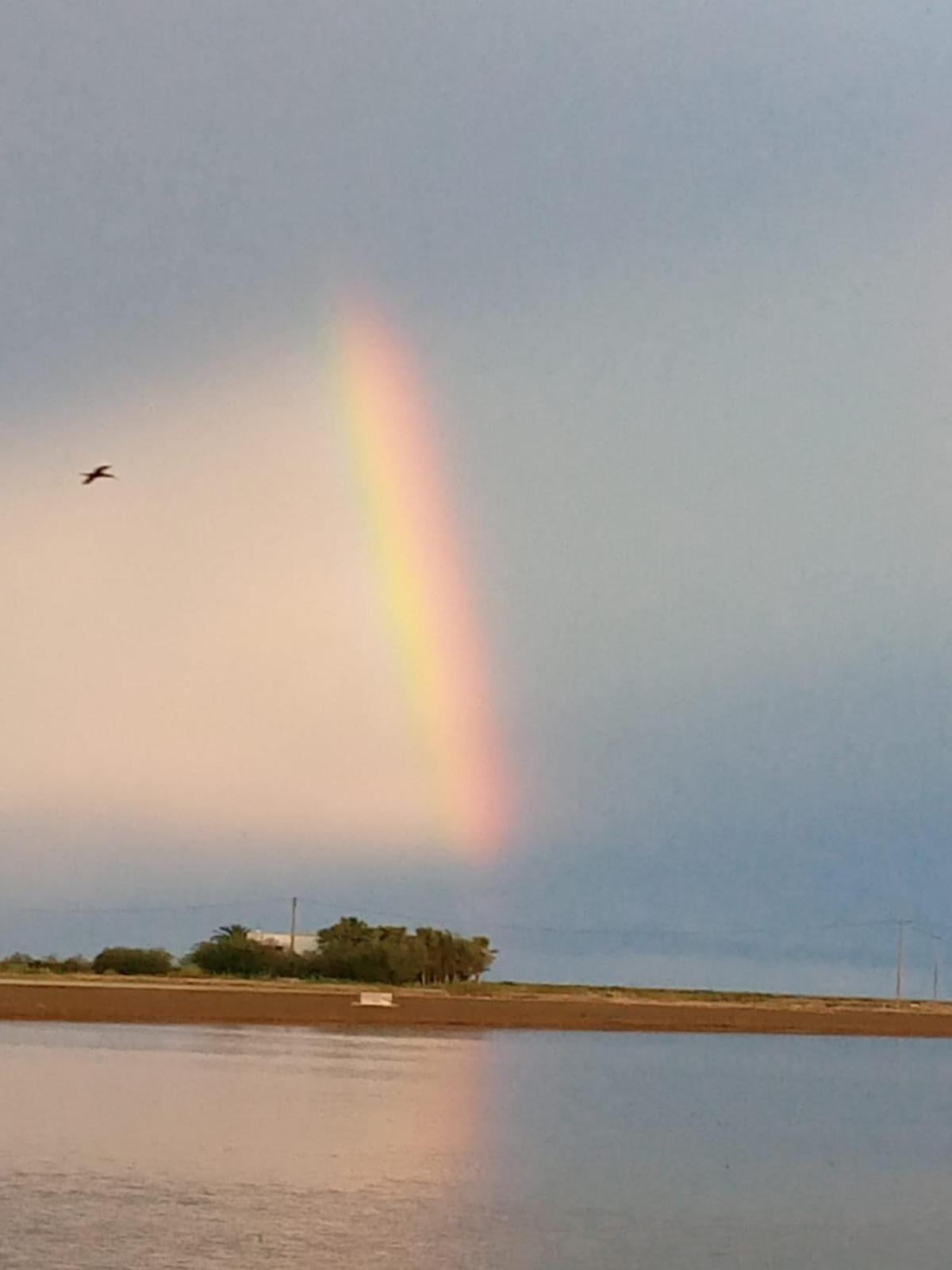 Camping Delta Natura La Tancada Amposta Bagian luar foto