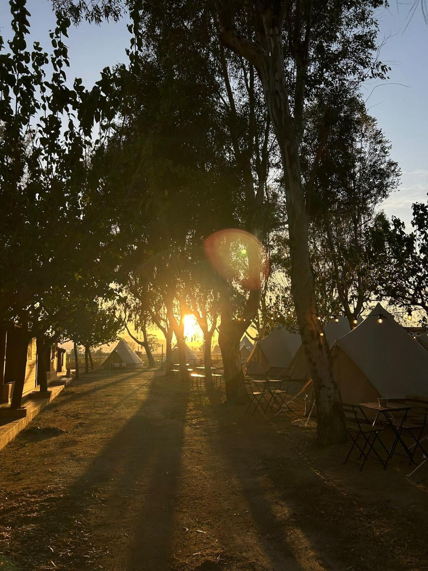 Camping Delta Natura La Tancada Amposta Bagian luar foto