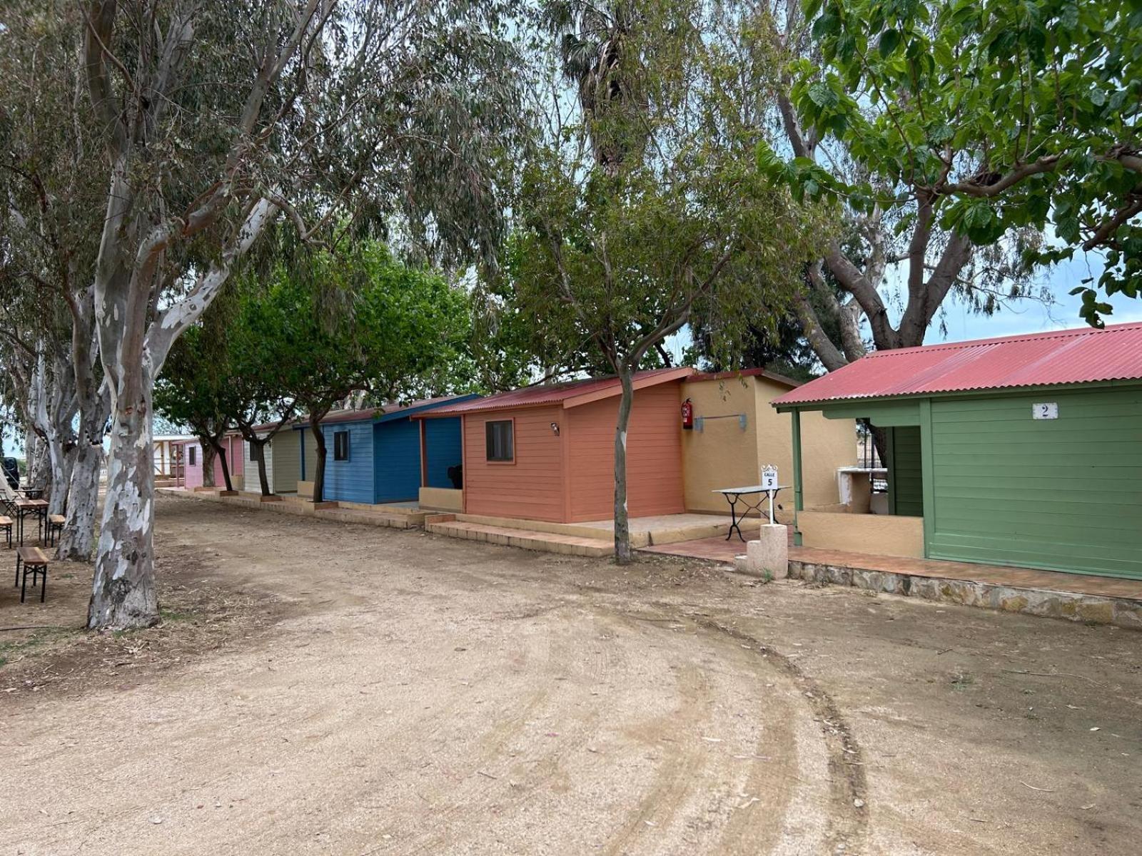 Camping Delta Natura La Tancada Amposta Bagian luar foto