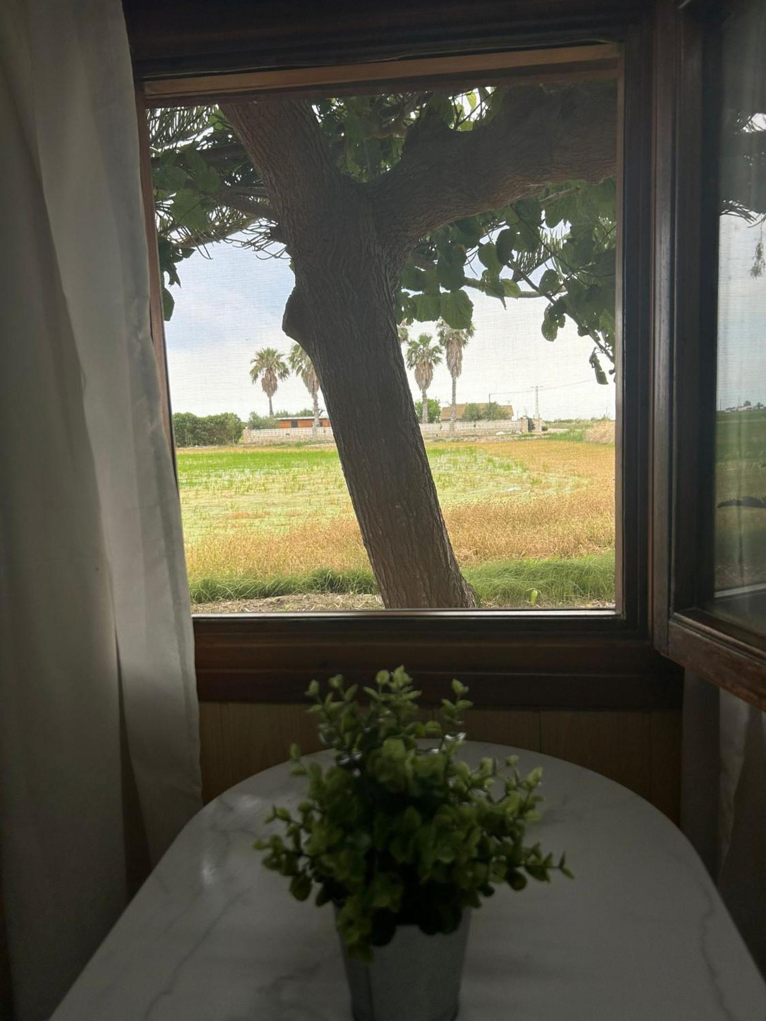 Camping Delta Natura La Tancada Amposta Bagian luar foto